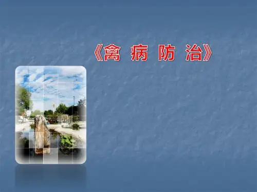 禽痛风ppt课件