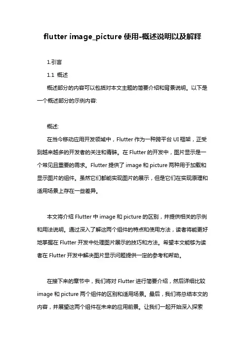 flutter image_picture使用-概述说明以及解释