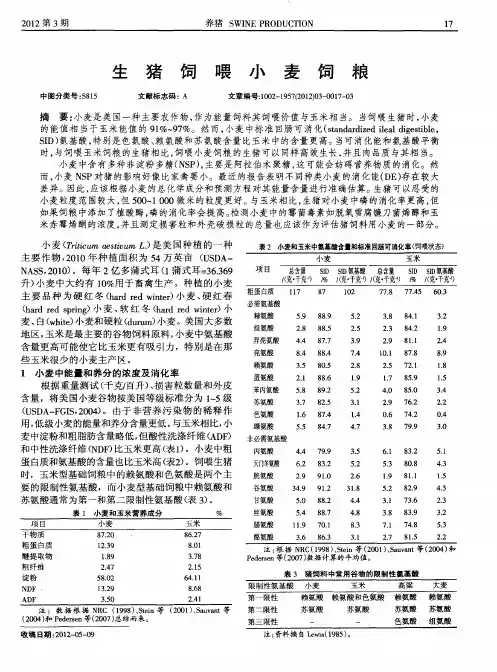 生猪饲喂小麦饲粮