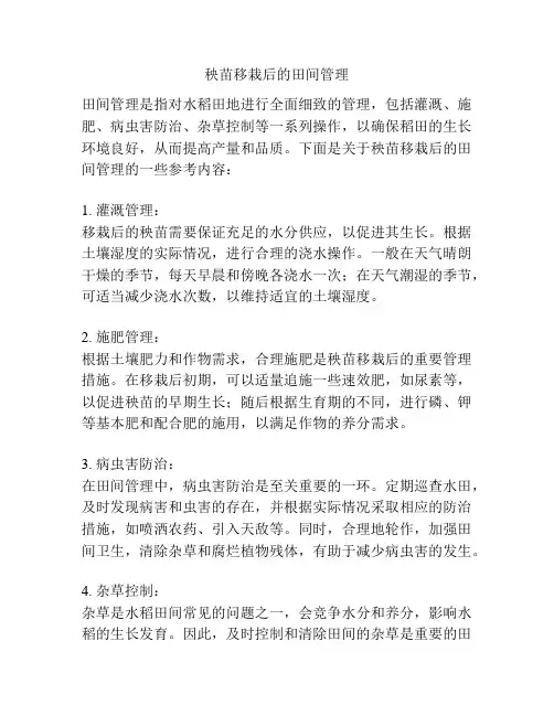 秧苗移栽后的田间管理