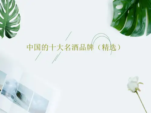 中国的十大名酒品牌(精选)共82页PPT