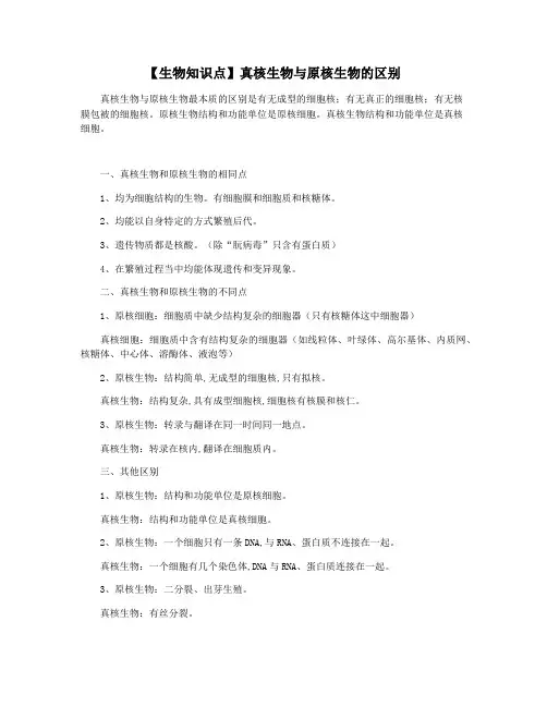 【生物知识点】真核生物与原核生物的区别