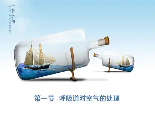 《呼吸道对空气的处理》精品课件