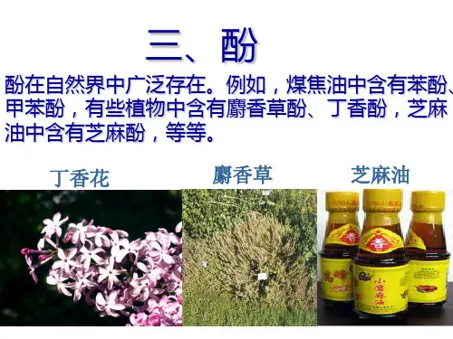 酚
