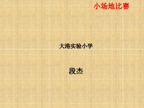 小场地比赛特点