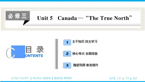 高中英语人教版必修三Unit 5 实用精品课件