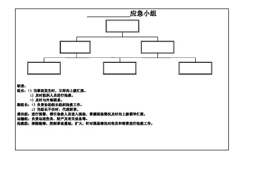 应急预案领导小组、组织机构