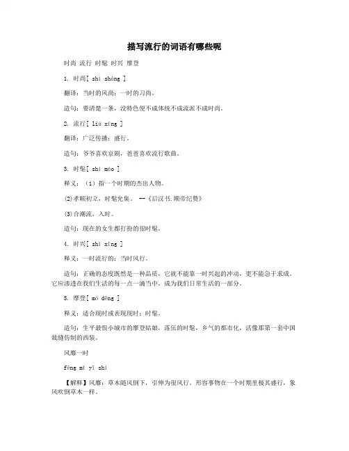 描写流行的词语有哪些呢