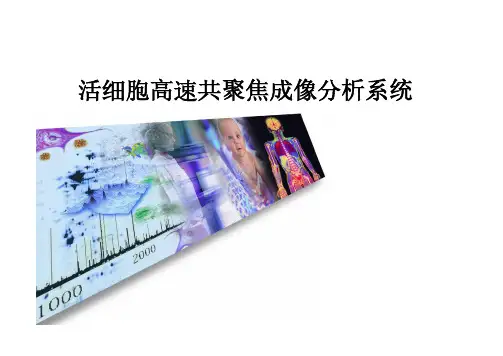 TCB9-2活细胞工作站