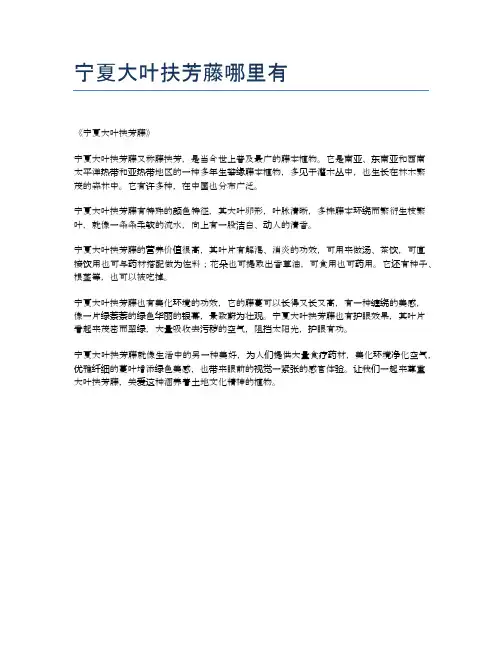 宁夏大叶扶芳藤哪里有