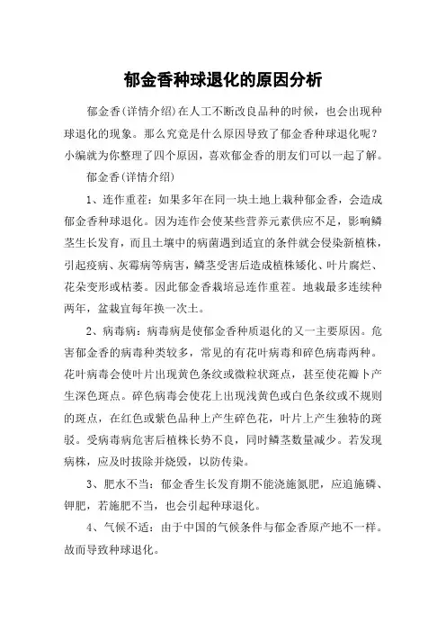 郁金香种球退化的原因分析