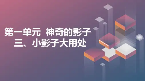 三、小影子大用处(课件)鲁科版一年级上册综合实践活动