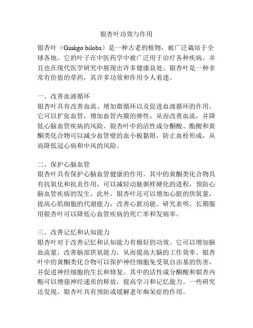 银杏叶功效与作用