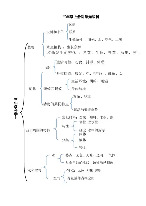 教科版三年级上册科学知识树