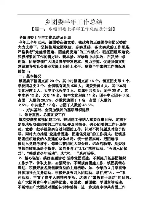 乡团委半年工作总结