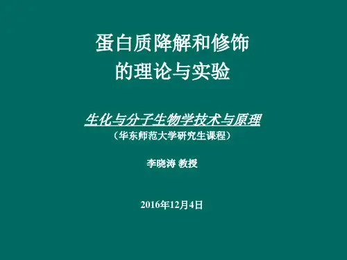 蛋白质降解与修饰-理论与实验 (1)