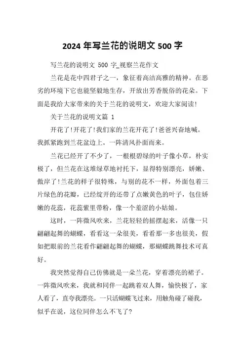 2024年写兰花的说明文500字
