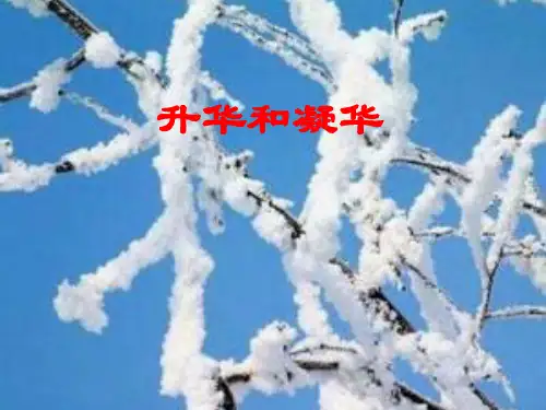 苏科版八年级物理上册2.4升华凝华 课件(共25张PPT)