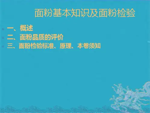 面粉基础知识及检验ppt课件(共13张PPT)