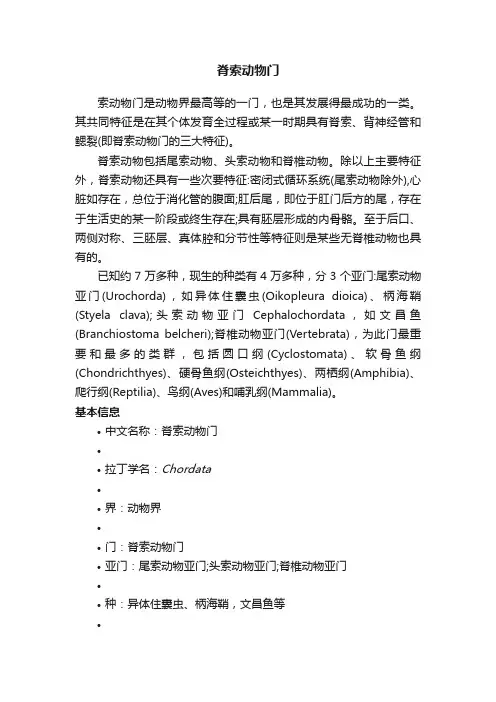 脊索动物门