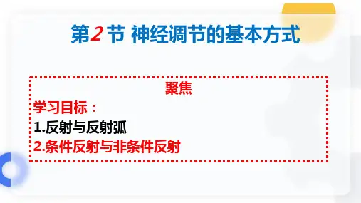 2.2 神经调节的基本方式-高二生物课件(人教版2019选择性必修1)