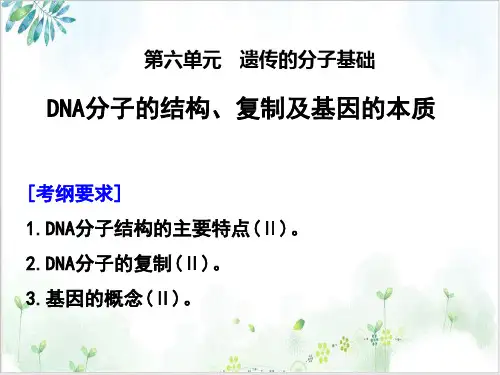 高考生物必修人教版.DNA分子的结构、复制及基因的本质课件PPT