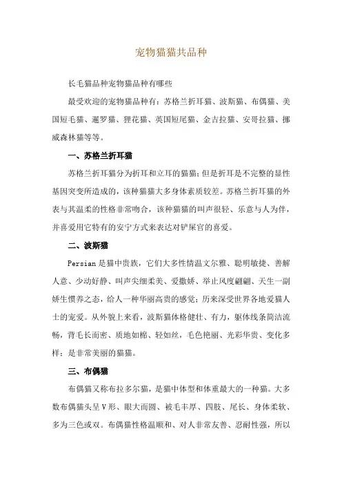 宠物猫猫共品种