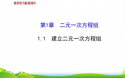 湘教版数学七年级下册第一章《建立二元一次方程组》公开课课件1