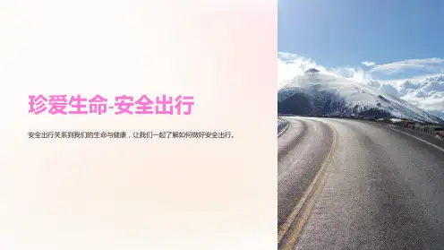 珍爱生命-安全出行