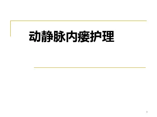 动静脉内瘘PPT精选课件