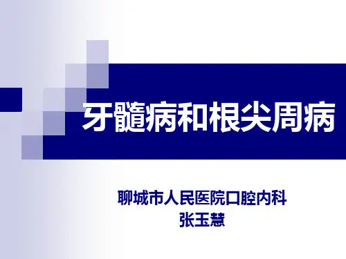 8.牙髓及根尖周组织生理特点
