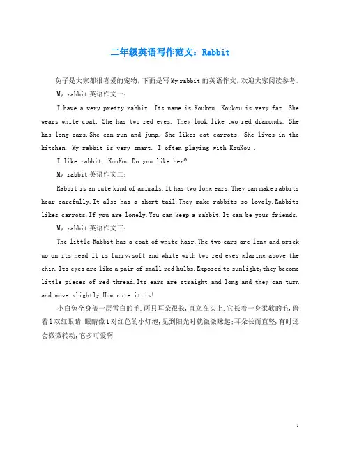 二年级英语写作范文：Rabbit