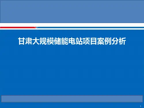 大规模储能电站项目案例分析论坛讲座PPT