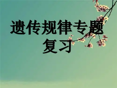 2020年高考生物 遗传规律专题复习课件 新人教版.ppt