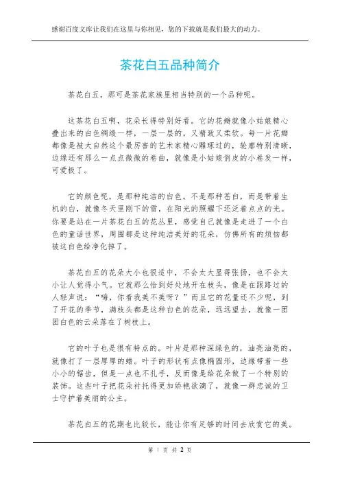 茶花白五品种简介