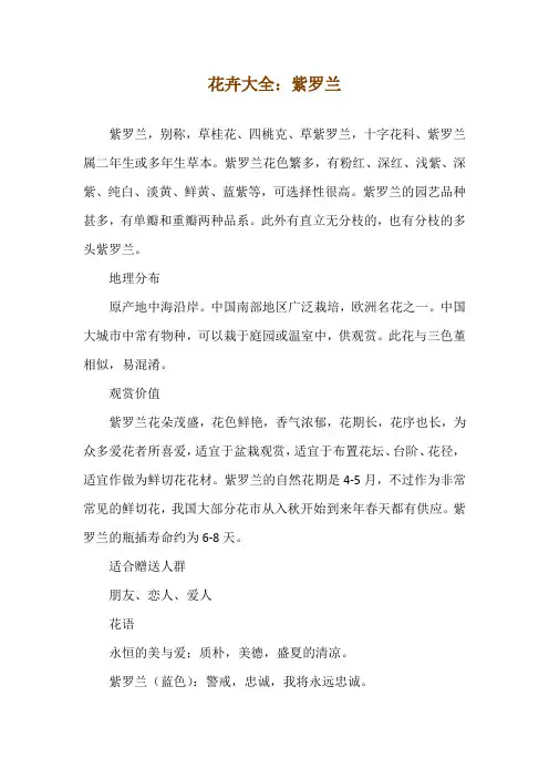 花卉大全：紫罗兰