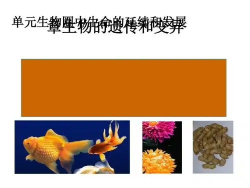 生物的变异PPT课件41