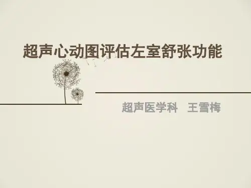 超声心动图评估左室舒张功能