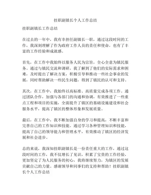 挂职副镇长个人工作总结