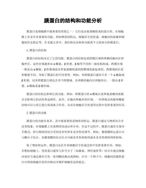膜蛋白的结构和功能分析
