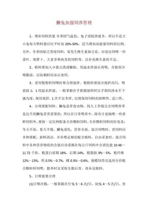 獭兔加强饲养管理