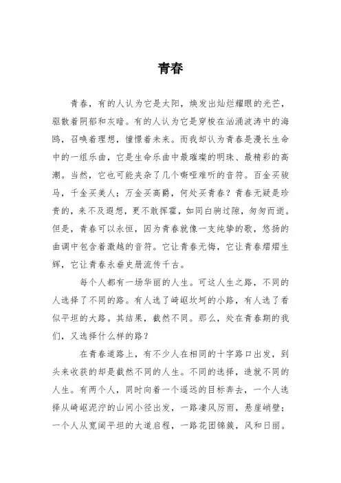 初中议论文作文：青春_4