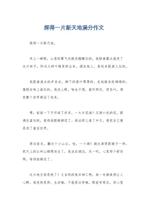 探得一片新天地满分作文