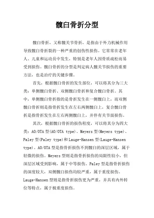 髋臼骨折分型