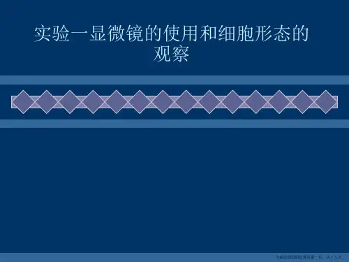 实验一显微镜的使用和细胞形态的观察