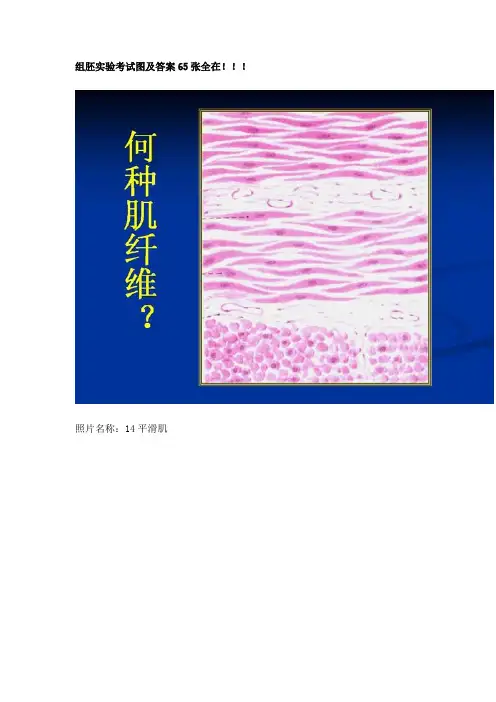组肧实验考试图