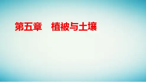新教材高中地理第五章植被与土壤第一节植被ppt课件新人教版必修第一册