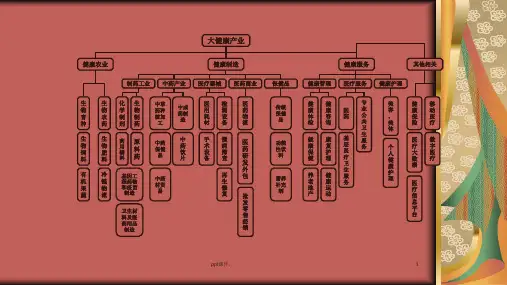 大健康产业结构图精选PPT