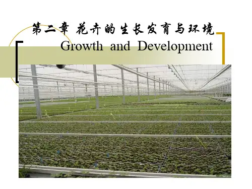 花卉的生长发育与环境.pptx