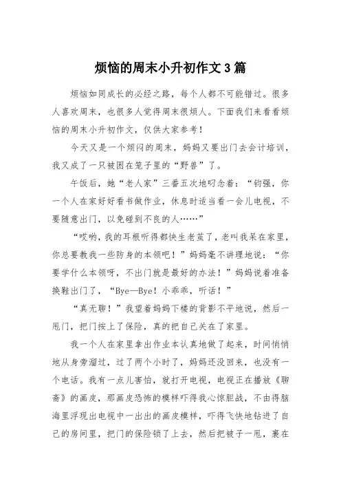 烦恼的周末小升初作文3篇